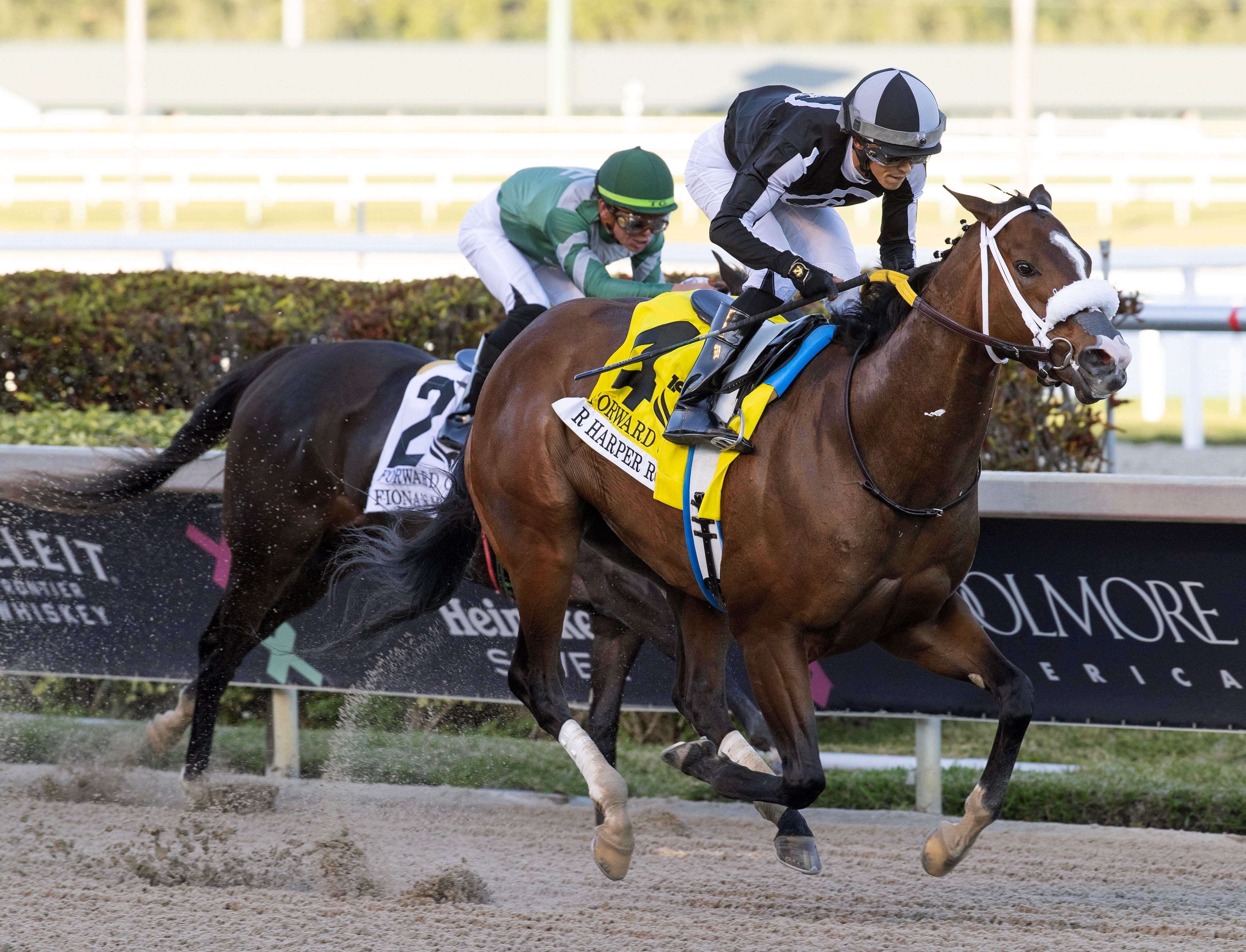 R Harper Rose rebounds with win on cutback in Forward Gal Stakes